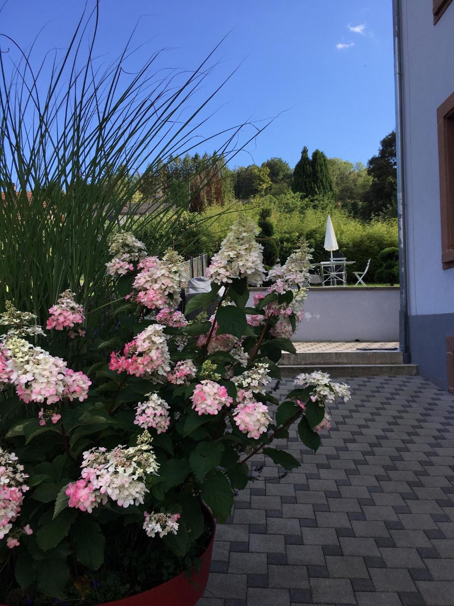 Апартаменты Les Magnolias En Alsace - Meuble De Tourisme 3 Etoiles Barembach Экстерьер фото
