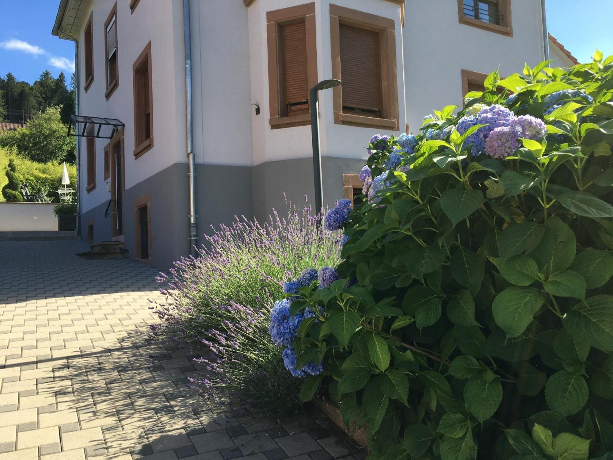Апартаменты Les Magnolias En Alsace - Meuble De Tourisme 3 Etoiles Barembach Экстерьер фото