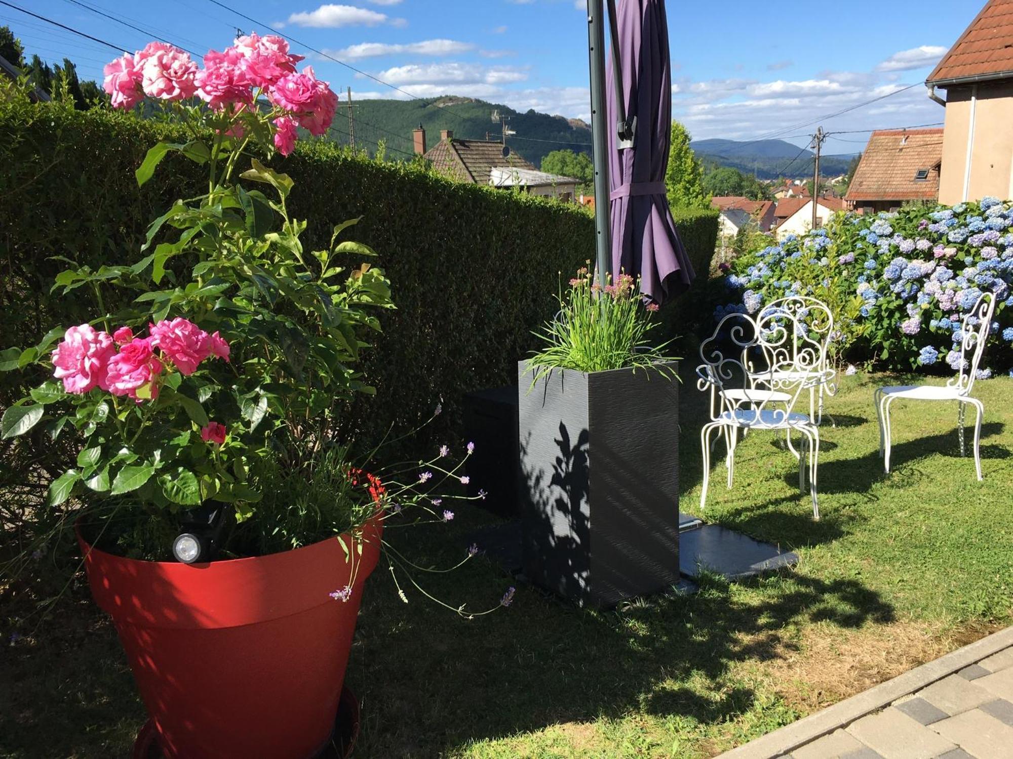 Апартаменты Les Magnolias En Alsace - Meuble De Tourisme 3 Etoiles Barembach Экстерьер фото
